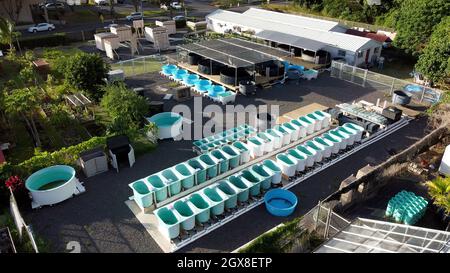 Vue aérienne d'une installation aquacole à Hawaï, Oahu, Hawaii, États-Unis Banque D'Images