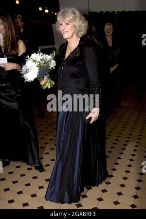 Camilla, duchesse de Cornwall arrive à la première mondiale des chroniques de Narnia au Royal Albert Hall de Londres, en Angleterre.La nouvelle adaptation grand écran de C S Lewis, le Lion, la Sorcière et la garde-robe est tenue à l'aide du Fonds de bienfaisance Cinéma et télévision.Anwar Hussein/allactiondigital.com *** Légende locale *** Camilla, duchesse de Cornouailles; Prince Charles, Prince de Galles Banque D'Images