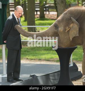Le prince Philip, duc d'Édimbourg, nourrit une banane à Donna, un éléphant d'Asie de 7 ans, lors d'une visite pour ouvrir un nouveau centre de soin des éléphants au zoo ZSL Whipsnade de Bedfordshire le 11 avril 2017. Banque D'Images