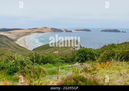 Paysage côtier autour du cap Reinga à l'île du Nord dans Nouvelle-Zélande Banque D'Images