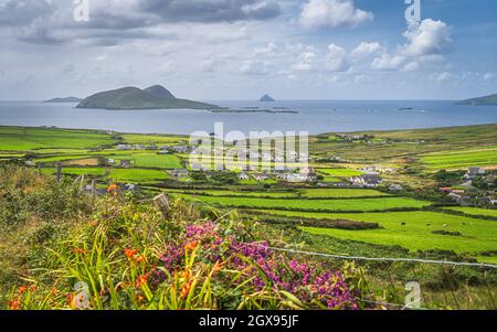 Village de Dunquin au bord de l'océan Atlantique avec champs, fermes et petites îles environnantes, péninsule de Dingle, Wild Atlantic Way, Kerry, Irlande Banque D'Images