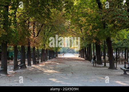 Promenade de la châtaigne dans les jardins du Luxembourg, Paris Banque D'Images