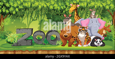 Ensemble d'animaux de zoo dans la jungle Illustration de Vecteur