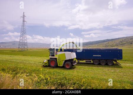 Temps de récolte - combiner la charge de la machine le grain récolté dans le bunker du chariot Banque D'Images
