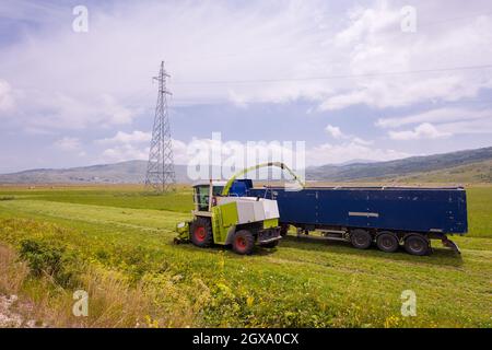 Temps de récolte - combiner la charge de la machine le grain récolté dans le bunker du chariot Banque D'Images