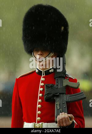 Le président polonais Aleksander Kwasniewski inspecte les gardes au palais de Buckingham, Londres. Banque D'Images