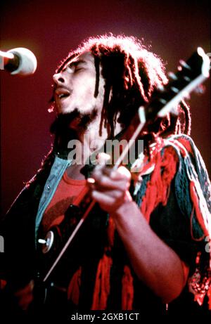 Ce mois-ci, les célébrations en Jamaïque et en Éthiopie commenceront à marquer le 60e anniversaire de la naissance de la star du reggae Bob Marley.Marley, qui est décédé en 1981 après avoir lutté contre le cancer à l'âge de 36 ans, aurait atteint 60 ans le 6 février.PHOTO: Bob Marley, légende jamaïcaine du reggae (1945 - 1981) sur scène au Hammersmith Odeon, Londres, en juin 1977.Anwar Hussein/allactiondigital.com Banque D'Images