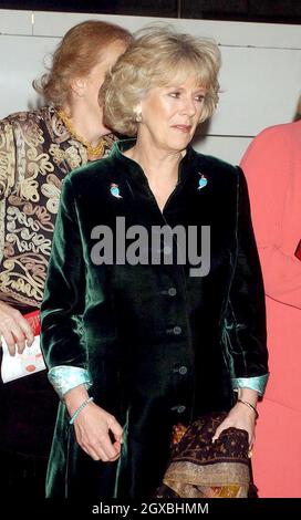 Camilla Parker Bowles qui a rejoint le Prince de Galles, lors d'un de ses engagements officiels pour la première fois en plusieurs mois.Portant une robe de costume en velours émeraude avec doublure et poignets en soie turquoise sari, Mme Parker Bowles a reçu une extravagance élisabéthaine à son arrivée avec Charles au Peacock Theatre de Londres.Â Anwar Hussein/allactiondigital.com Banque D'Images