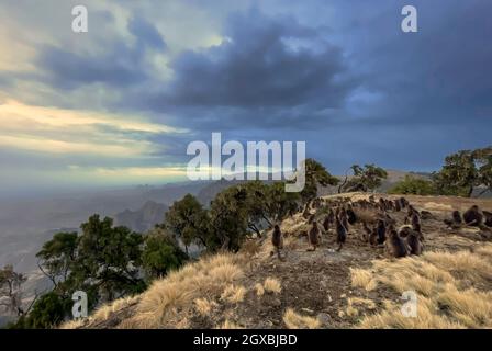 Montagnes Simien - magnifique paysage de montagne unique depuis les montagnes nord-éthiopiennes, Ethiopie. Banque D'Images