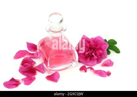 Parfum rose dans une bouteille de verre art déco rétro avec fleur et pétales roses.Concept parfumé naturel.Variété Rosa rugosa.Sur fond blanc. Banque D'Images