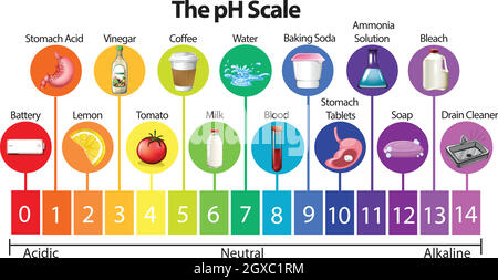 L'échelle de pH Science Illustration de Vecteur