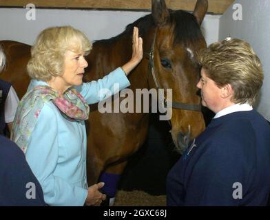 Camilla, la duchesse de Cornwall fait pater un cheval dans la section stable lors d'une visite au Collège duché à Stoke Climsland, dans l'est de Cornwall, le 11 mai 2007. Banque D'Images