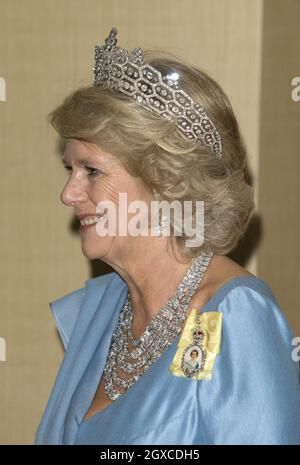 Camilla, duchesse de Cornwall, assiste au banquet des chefs de gouvernement du Commonwealth à Kampala, en Ouganda Banque D'Images