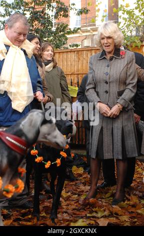 Camilla, la duchesse de Cornwall rencontre des propriétaires de chiens et leurs chiens lors d'une randonnée caritative dans le Green Park de Londres.La marche a eu lieu pour recueillir des fonds pour le Centre des arts de Katmandou et le Centre de traitement des animaux et la Duchesse a également examiné une collection d'art népalais dans l'exposition "portes ouvertes". Banque D'Images