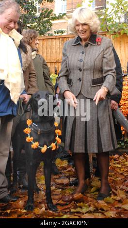 Camilla, la duchesse de Cornwall rencontre des propriétaires de chiens et leurs chiens lors d'une randonnée caritative dans le Green Park de Londres.La marche a eu lieu pour recueillir des fonds pour le Centre des arts de Katmandou et le Centre de traitement des animaux et la Duchesse a également examiné une collection d'art népalais dans l'exposition "portes ouvertes". Banque D'Images