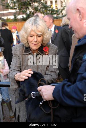 Camilla, la duchesse de Cornwall rencontre des propriétaires de chiens et leurs chiens lors d'une randonnée caritative dans le Green Park de Londres.La marche a eu lieu pour recueillir des fonds pour le Centre des arts de Katmandou et le Centre de traitement des animaux et la Duchesse a également examiné une collection d'art népalais dans l'exposition "portes ouvertes". Banque D'Images