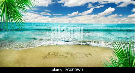 Vacances d'été paradisiaques sur une île tropicale avec plage de sable, palmier et mer bleue. Panorama sur la mer. Arrière-plan de la bannière des vacances d'été. Banque D'Images