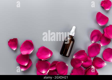 Concept de cosmétiques écologiques naturels. Plat avec bouteille en verre d'huile essentielle de rose rouge avec compte-gouttes. Décoration avec groupe de pétales de rose rouges sur le dos gris Banque D'Images