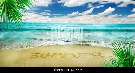 Vacances d'été paradisiaques sur une île tropicale avec plage de sable, palmier et mer bleue. Panorama sur la mer. Arrière-plan de la bannière des vacances d'été. Banque D'Images