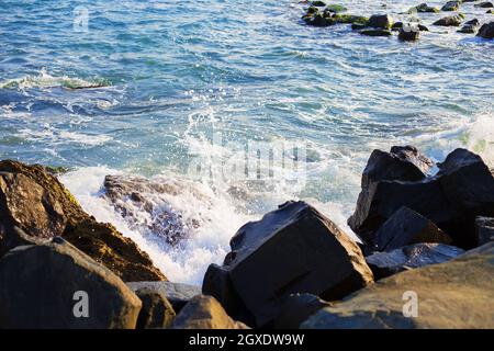 Côte de la mer de Stony de Bulgarie-soleil, mer, plage-gros plan. Banque D'Images