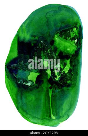 Feuilles de bouleau vert abstrait. Abstraction vert aquarelle. Banque D'Images