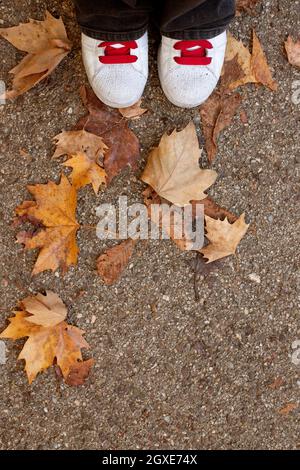 baskets blanches vues d'en haut marchant sur une chaussée avec des feuilles d'automne Banque D'Images