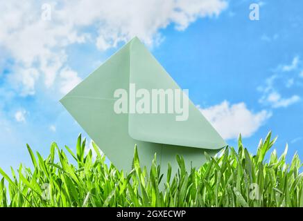 Enveloppe verte en herbe avec fond ciel Banque D'Images