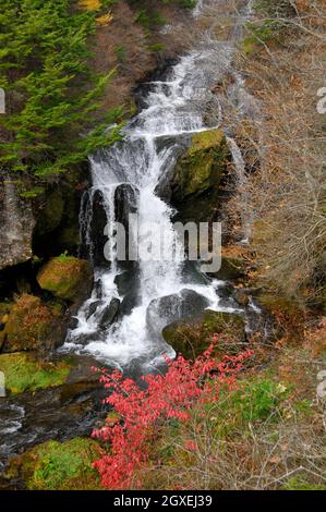 Chutes Ryuzu à Yu River, parc national Nikko, Nikko, Japon Banque D'Images