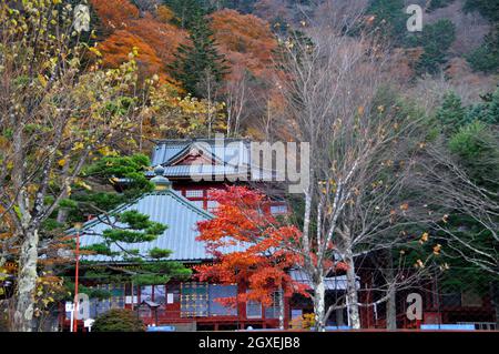 Les couleurs des feuillages entourent un temple japonais à proximité du parc national de Nikko, Nikko, Japon Banque D'Images