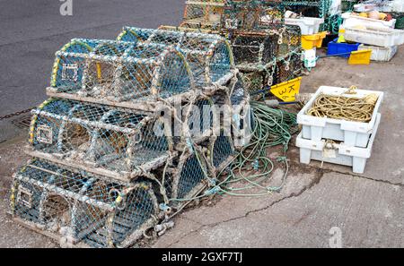ST ANDREWS FIFE SCOTLAND BLEU DE HOMARD OU DE CRABE CRÉELS EMPILÉS SUR LE MUR DU PORT Banque D'Images