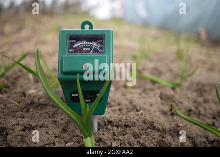 Compteur agricole pour mesurer la teneur en humidité et en pH du sol dans un champ avec des semis de printemps vert frais pendant la culture de la récolte Banque D'Images