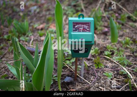 Compteur agricole pour mesurer la teneur en humidité et en pH du sol dans un champ avec des semis de printemps vert frais pendant la culture de la récolte Banque D'Images