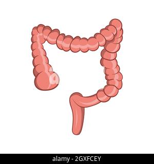 Icône d'intestin en style de dessin animé isolée sur fond blanc. Symbole des organes humains Banque D'Images