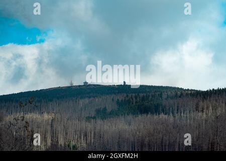 Catastrophe écologique dans les montagnes de Harz Banque D'Images