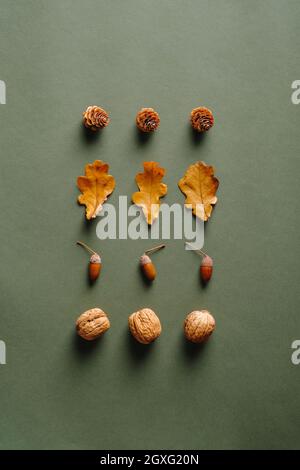 Aménagement créatif avec des cônes de pin, des feuilles de chêne sec, des glands, des noix sur fond vert. Automne, automne concept. Flat lay, vue de dessus. Banque D'Images