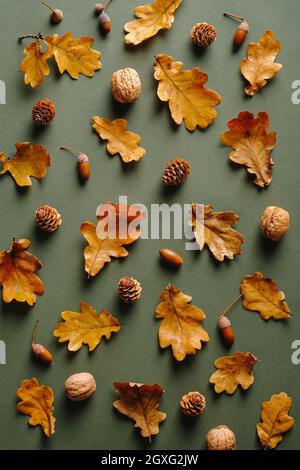 Motif d'automne avec feuilles de chêne sèches, glands, noix, cônes de pin sur fond vert. Style vintage. Automne, automne concept. Banque D'Images