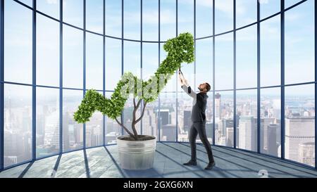 L'homme d'affaires se soucie d'une grande plante en forme de grande flèche Banque D'Images
