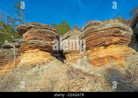 Coloré Liesegang anneaux dans les Sedmentary Rocks dans le jardin des dieux dans la forêt nationale de Shawnee dans l'Illinois Banque D'Images
