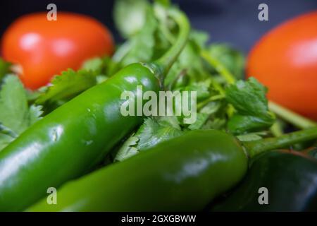 Gros plan de deux piments verts et de deux tomates au-dessus de la coriandre. Légumes frais verts et rouges sur une surface bleu foncé. Préparation saine des repas Banque D'Images