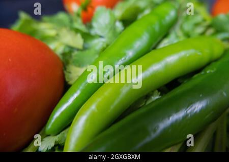 Gros plan de trois piments verts et de deux tomates au-dessus de la coriandre. Légumes verts et rouges frais et épicés sur des herbes comestibles. Préparation de repas sains Banque D'Images