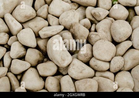 Galet blanc sur le petit jardin à l'intérieur de la maison. Arrière-plan de la texture de cailloux blancs naturels est beaucoup de gravier Banque D'Images