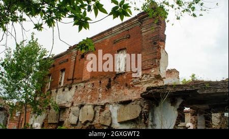 Le mur dans une maison abandonnée naufragé avec vide fenêtres et porte surcultivées avec de l'ivy vert et des plantes Banque D'Images