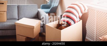 Femme à l'intérieur d'une boîte tout en se préparant à se déplacer dans une nouvelle maison. Concept de location, de déménagement dans une nouvelle maison et d'achat d'un bien immobilier. Banque D'Images