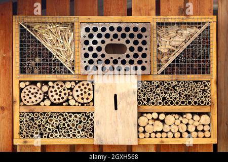 Bienenhotel, Bee Hotel Banque D'Images