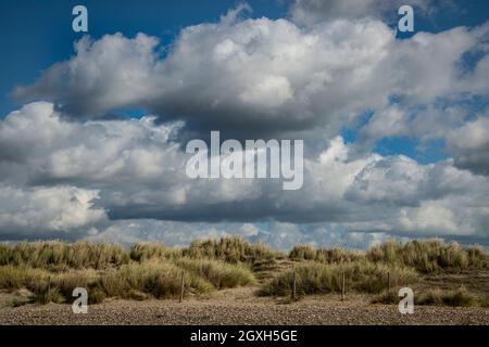 Sablez les dunes et les herbes contre un ciel bleu nuageux par temps lumineux Banque D'Images