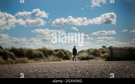 Homme avec deux chiens dalmates parmi les dunes de sable de West Wittering Beach, West Sussex. Banque D'Images