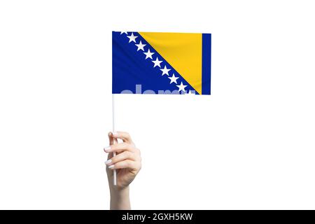 Belle main féminine tenant le drapeau de Bosnie-Herzégovine, isolée sur fond blanc. Banque D'Images