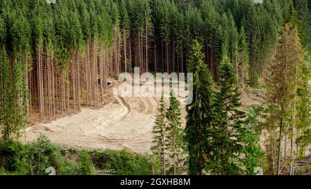 Machinerie lourde travaillant et coupant la forêt de pins dans les montagnes. Catastrophe écologique aux Carpates, en Ukraine. Banque D'Images