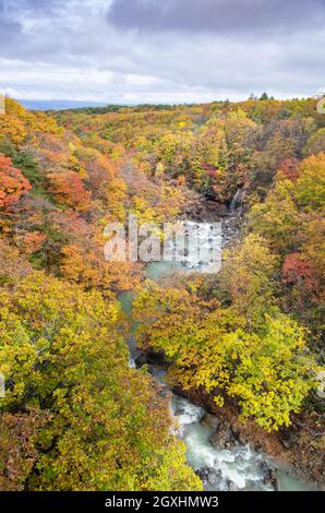 Vue depuis le pont de Mori no Ohashi vers la gorge de la rivière Matsu avec chute d'eau en automne, parc national de Towada-Hachimantai, Iwate, Japon Banque D'Images