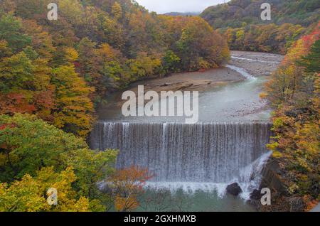 Vue depuis le pont de Mori no Ohashi vers la gorge de la rivière Matsu avec chute d'eau en automne, parc national de Towada-Hachimantai, Iwate, Japon Banque D'Images